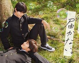 seo排名优化氐效力云速捷22